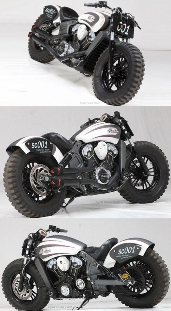 custom chopper motorcycle (11)
