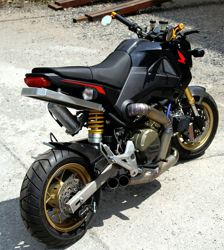 honda-msx-panigale-ducati-2