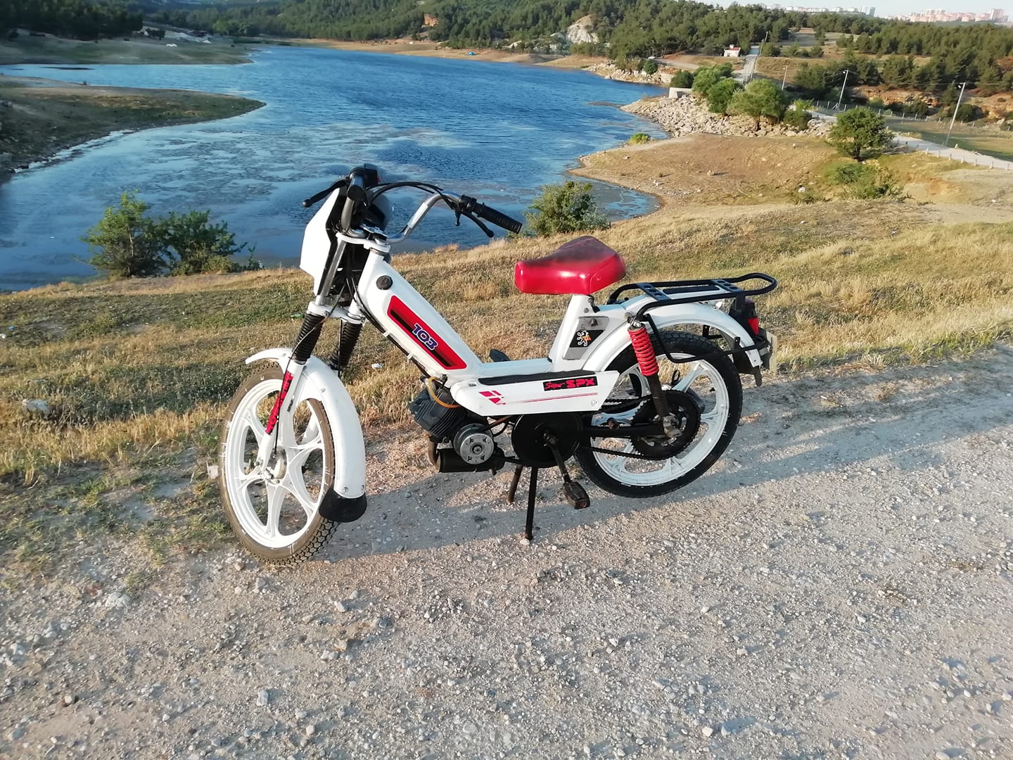 Deniz G&uuml;ney, Nadir bulunan pejo 103 SPXL