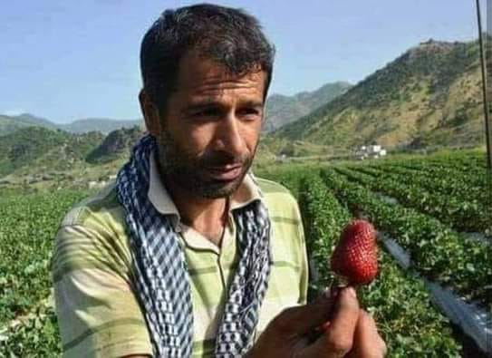 cilek hikayesi - diyarbakır