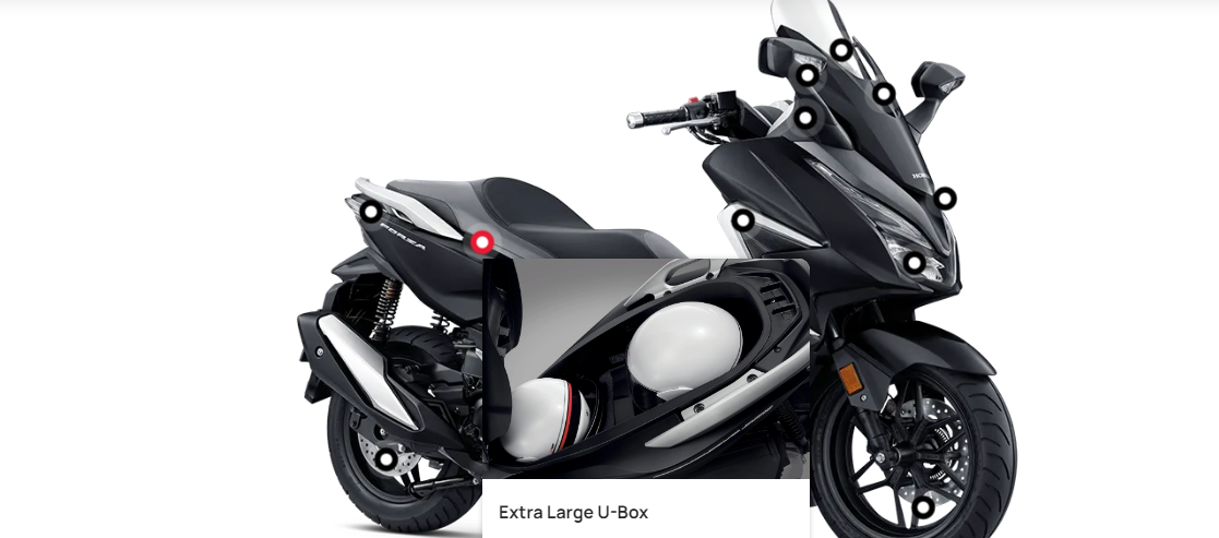 2024 New Honda Forza 250