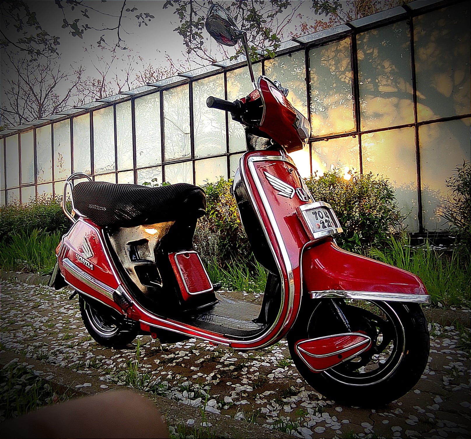 Honda Kinetic