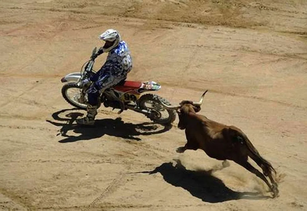 Motorcycle Bull Chasing 1 jpg