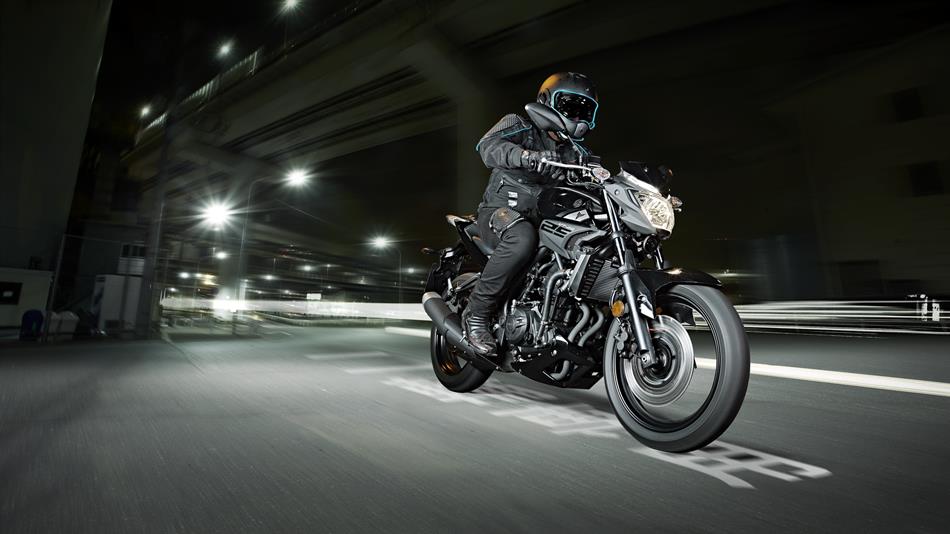 2016 Yamaha MT250