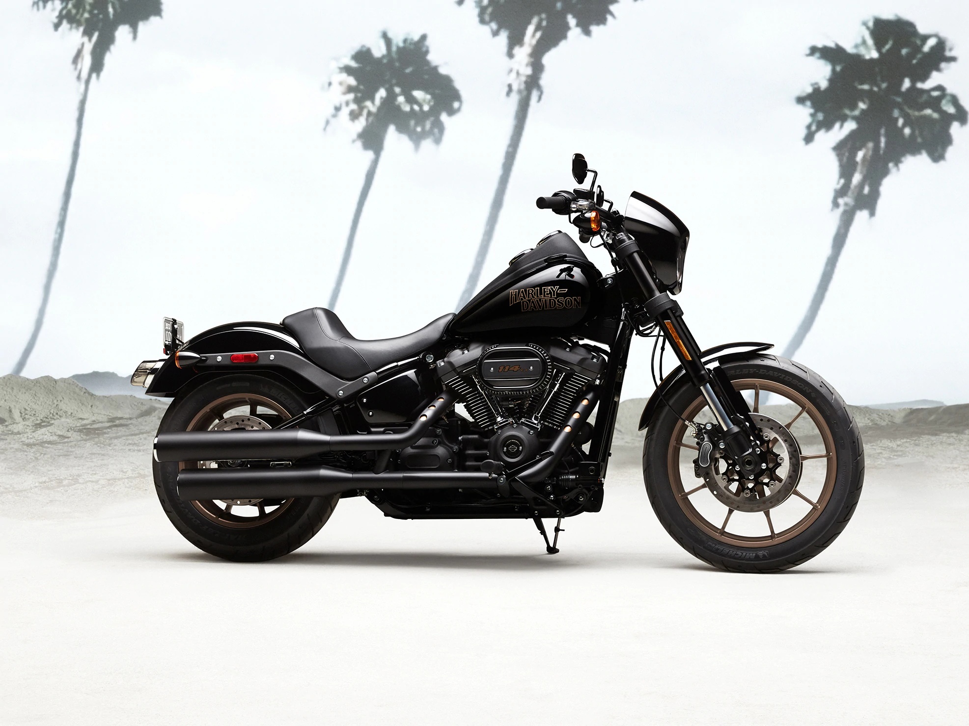 Harley Davidson Low Rider 2020
