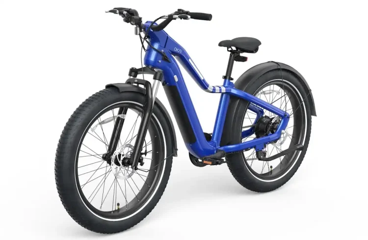 OKAI Ranger 1.000W iri lastikli, elektrikli bisiklet, renkli LED dokunmatik ekranlı piyasaya sürüldü